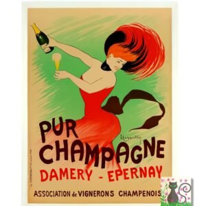 vintage Champagne Damery Epernay Vintage French Drink Advert Poster